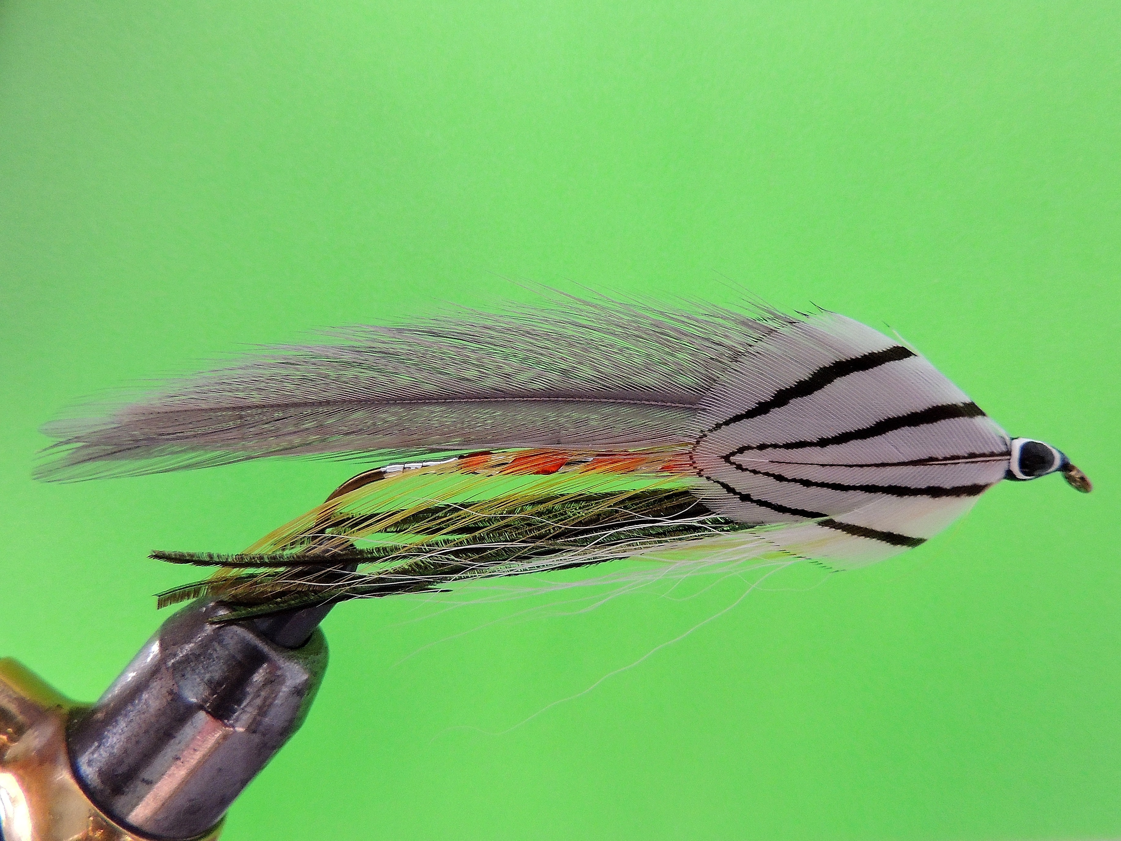 grayghost streamer  Dan's Fly Shop and Guide Service - Fishing the  Androscoggin in New Hampshire